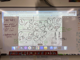 Glen Hills teacher Jen Clark identifies the macroinvertebrates the students found on their survey