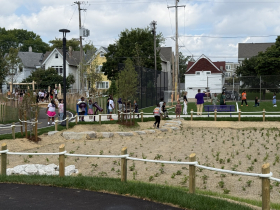 Cass Street Playground