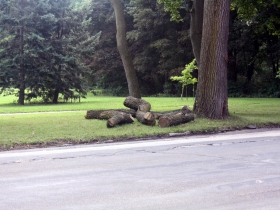 Did the lumberman strike again?
