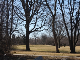 Dineen Park