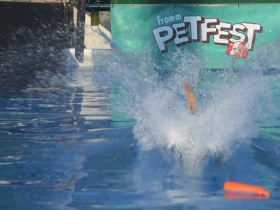Fromm Petfest 2017