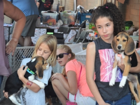 Fromm Petfest 2017