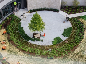 Courtyard