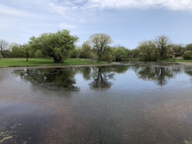 McGovern Park