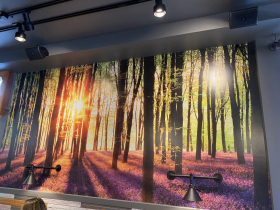 The mural