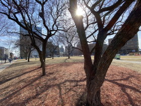 Cathedral Square Park