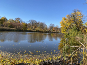 Inside Washington Park, the lagoon