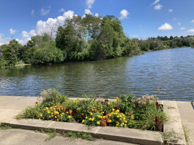 Greenfiled Park