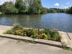 Greenfiled Park