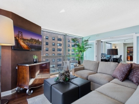 1660 N. Prospect Ave., #509