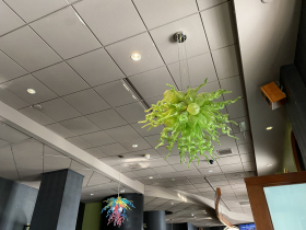 Chandelier in the dining room