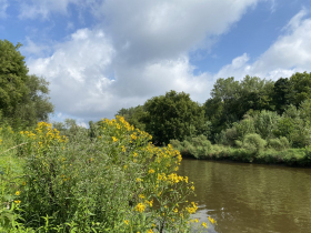 Milwaukee River Greenway - West Bank a Riverside Stroll