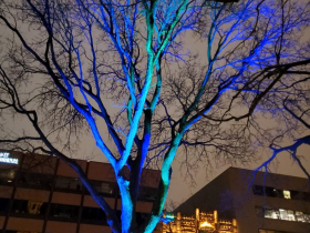 Cathedral Square Park