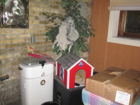 Pabst dog house