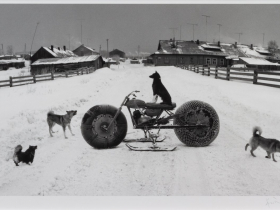Solovki, White Sea, Russia (Dog on motorbike), 1992