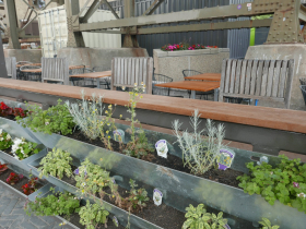 Lakefront Brewery's patio