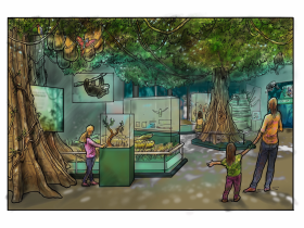 Rainforest