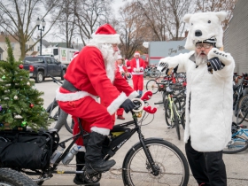 Dogs, reindeer, polar bears…