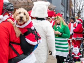We promote this as a family-friendly ride, but now we will have to add pet friendly.