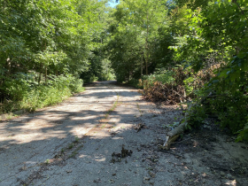 Logs and debris spill into the roadway. Photo by Graham Kilmer, Aug. 2023.