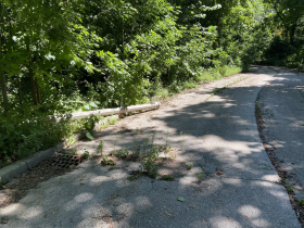 A lamp post is down and lays along the roadside. Photo by Graham Kilmer, Aug. 2023.
