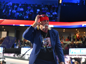 Hulk Hogan