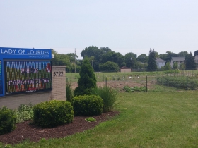 Vegetable garden on Forest Home Avenue.