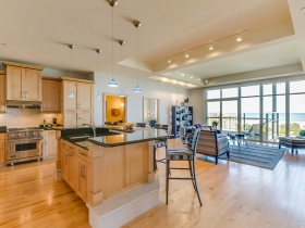 1313 N. Franklin Pl., #905