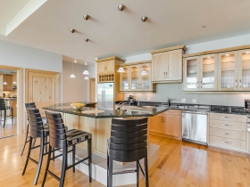 1313 N. Franklin Pl., #905