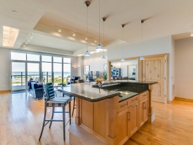 1313 N. Franklin Pl., #905