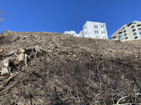 White Manor Bluff