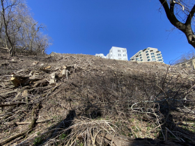 White Manor Bluff