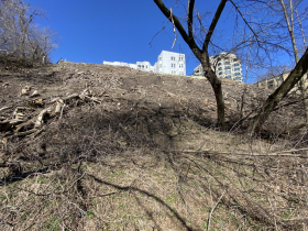 White Manor Bluff