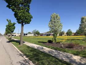 350 W. Layton Ave. Site