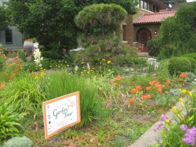 ​Sedum and other xeric plants are happy on the sunny corner.