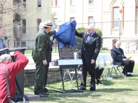 Unveiling the Plaque