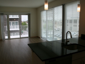 Large Windows
