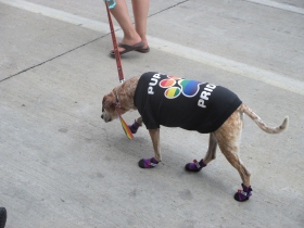 Puppy Pride