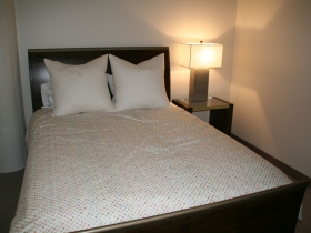 Guest Suite