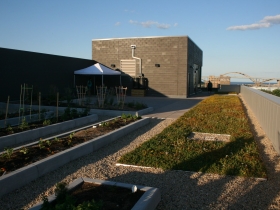 Clock Shadow Building's Green Roof