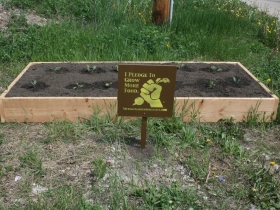 Victory Garden Bed