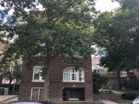 1233 N. Marshall St.