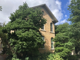 1245-1247 N. Cass St.