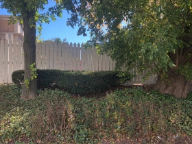 1123-1125 E. Knapp St.