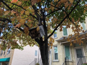 Birdhouse in front of 1326-1328 N. Astor St.