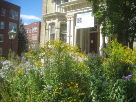 David Barnett Gallery