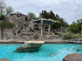Grizzly Bear Exhibit