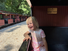 Zoo Safari Train